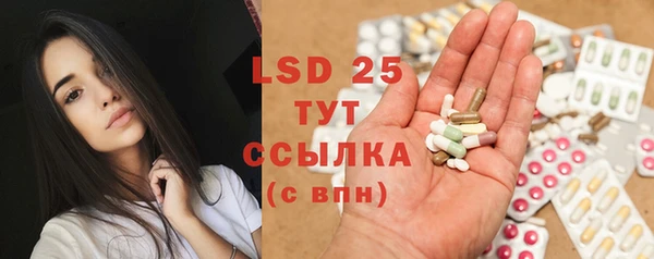 прущие крисы Абаза