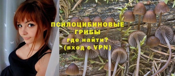 прущие крисы Абаза