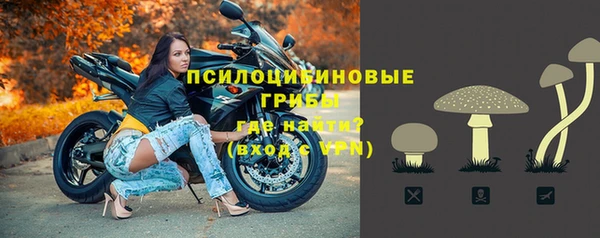 гашик Абдулино