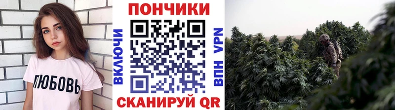 Бошки Шишки LSD WEED  купить наркоту  блэк спрут как зайти  Ряжск 